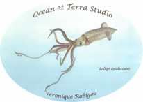 Ocean et Terra Studio